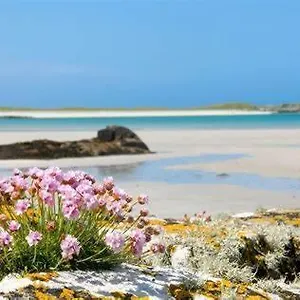 wild-atlantic-stay-self-catering-galway.galwayhotelsireland.net/